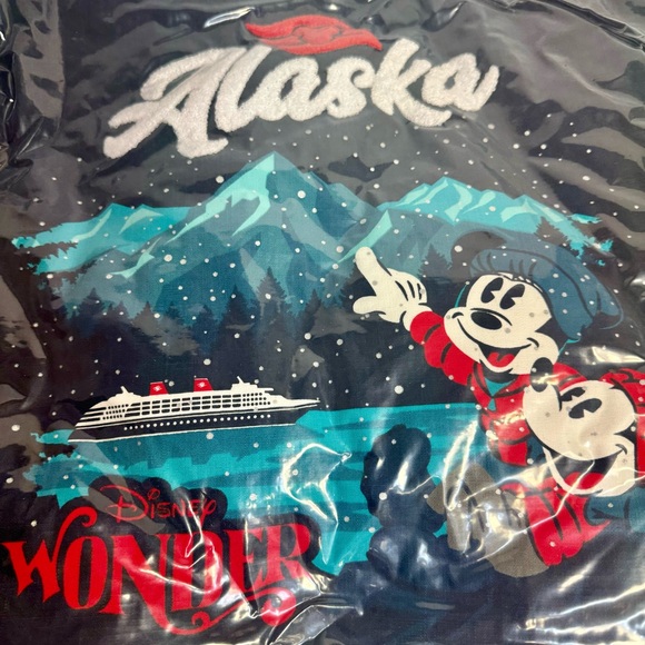 NWT. Disney Cruise Line Alaska Navy and plaid DCL throw pillow. - Picture 3 of 9